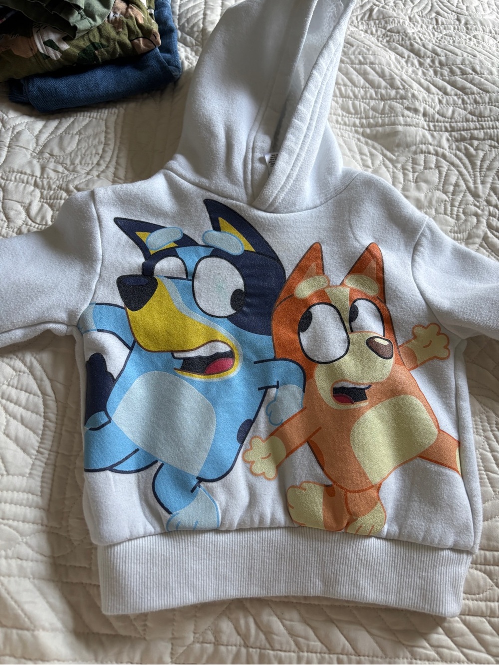 Disney White Hoodie with Blue and Orange Bluey Characters